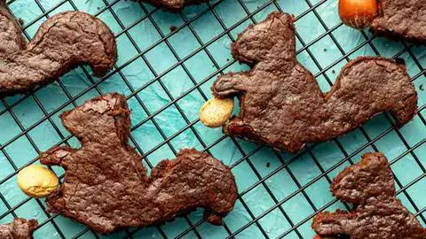 a couple vegan squirrel brownies holding nuts.