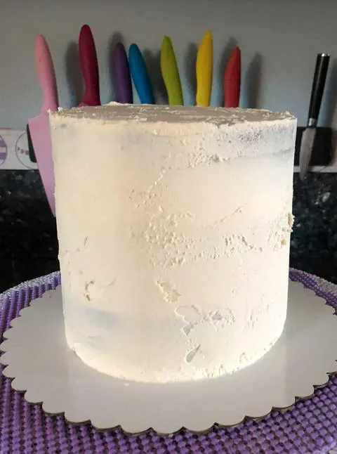 organic vegan chocolate cake with vanilla mint frosting