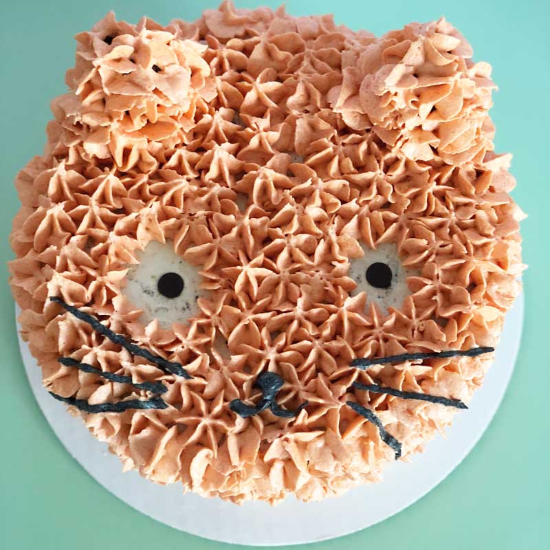 Vegan chocolate orange cat cake