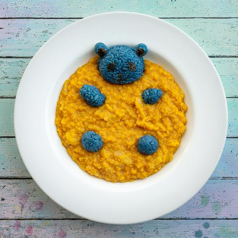 Vegan Dal Blanket covering a blue rice bear