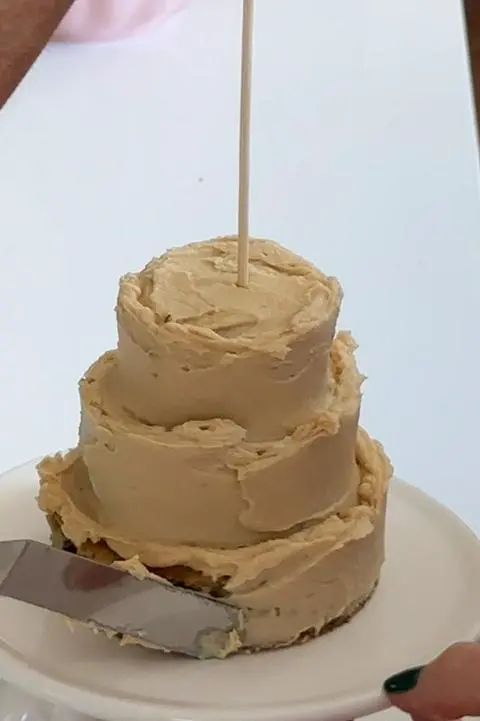 frosting the dog cake with the yogurt frosting.