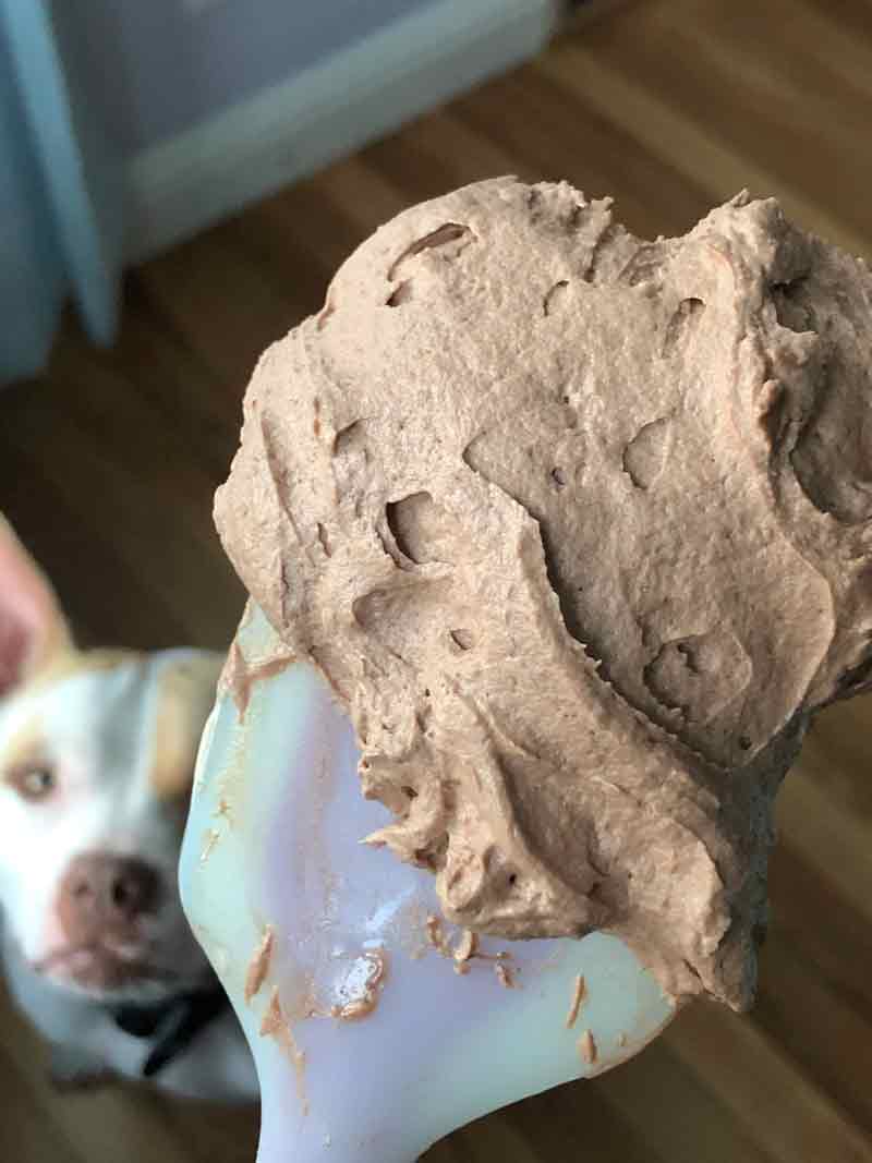 organic vegan chocolate buttercream frosting