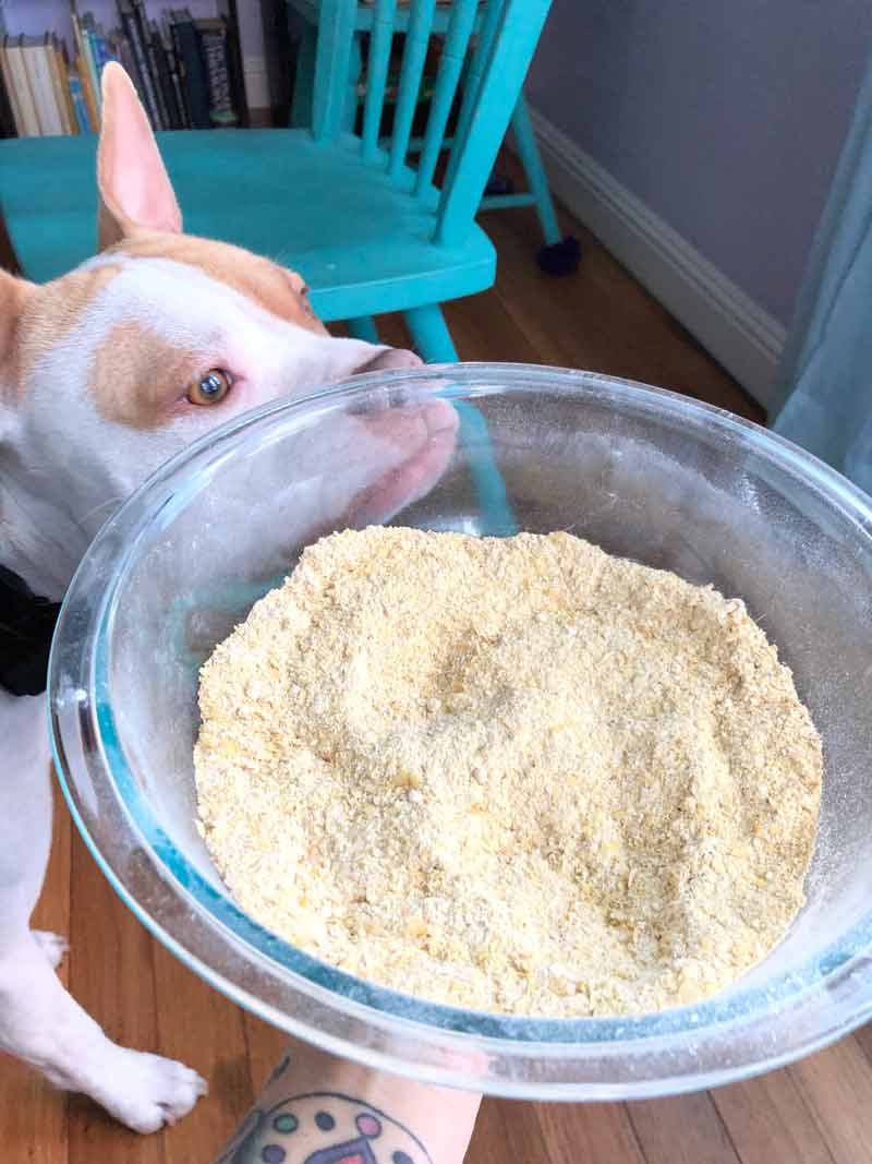 the powder part of the vegan macaroni and cheese kit