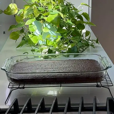 vegan chocolate quarter sheet cake on a cooling rack.