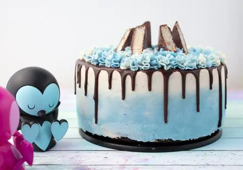 vegan chocolate coconut cake