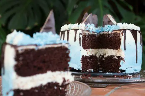 slice of vegan mounds cake