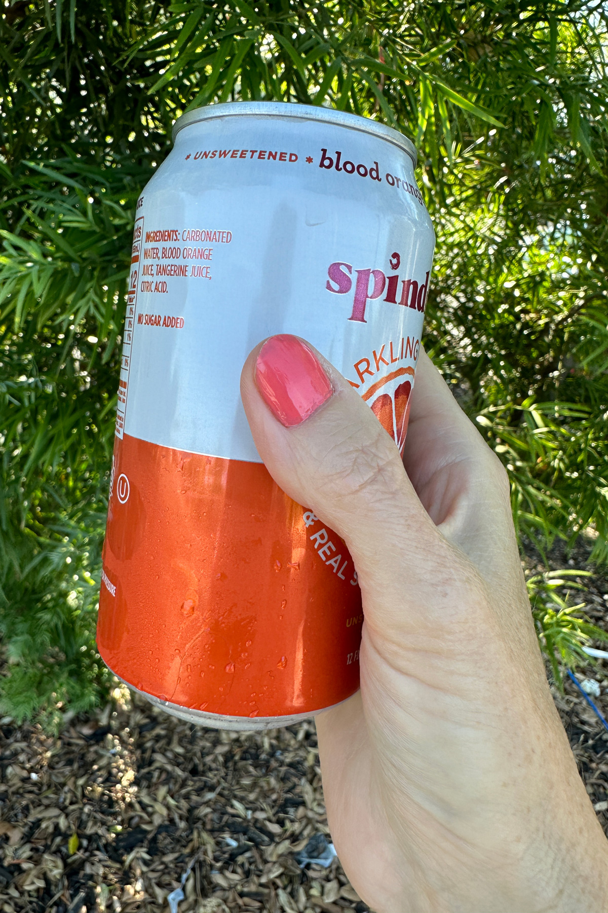 Yapa vegan nail polish