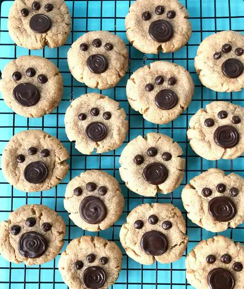 peanut butter chocolate cookies