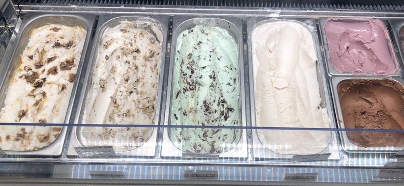 all the vegan ice cream flavors at Petunia's in Portland