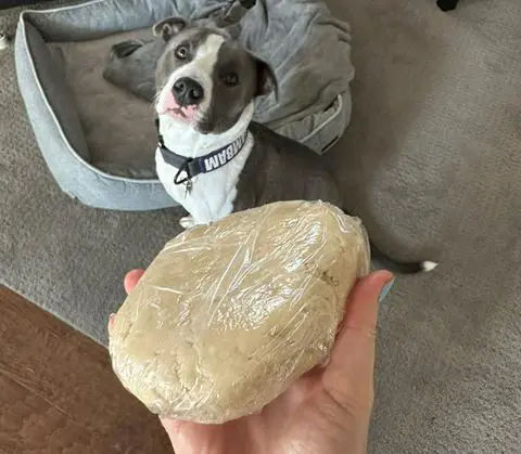 vegan pie crust dough with Bambam the foster dog in the background