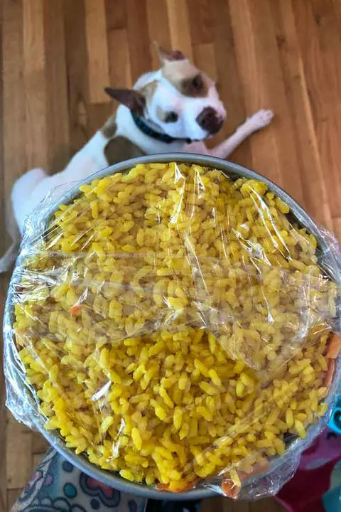 naturally colored yellow sushi rice